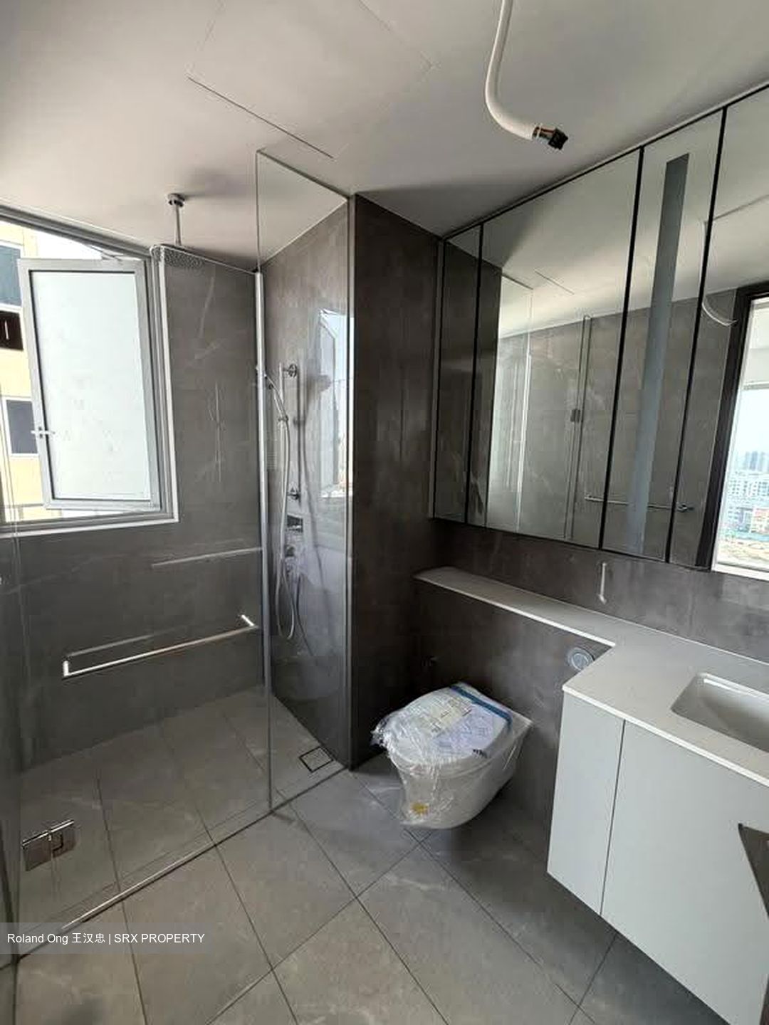 Grand Dunman (D15), Apartment #619301081